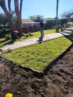 Roll on lawn Kikuyu grass