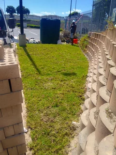 Roll on lawn Kikuyu grass