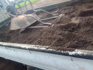 Roll on lawn Kikuyu grass