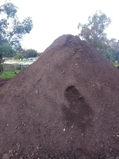 Roll on lawn Kikuyu grass