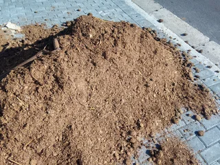 Roll on lawn Kikuyu grass