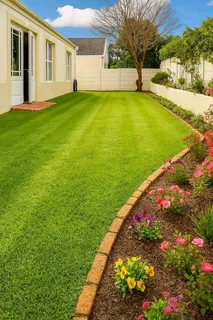 Roll on lawn. LM Berea grass