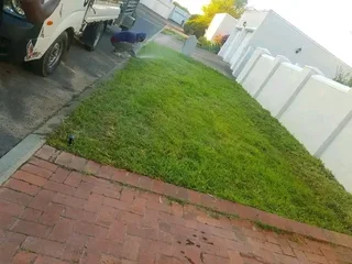 Roll on lawn Kikuyu grass