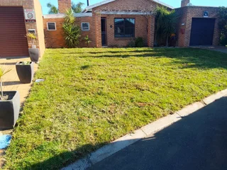 Supply and installa Cyndone grass and  Kikuyu grass