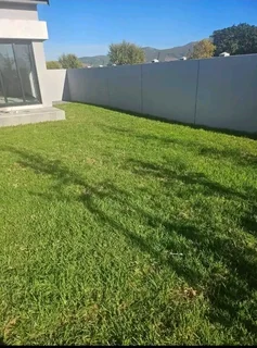 Cynadone grass and Kikuyu grass weed free