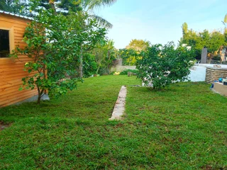 Supply and installa Kikuyu grass weed free