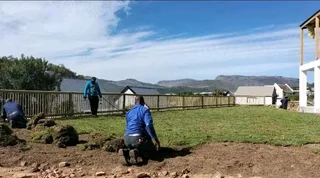 Roll on lawn Kikuyu grass and