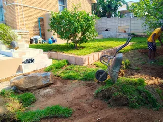 Roll on lawn Kikuyu grass and