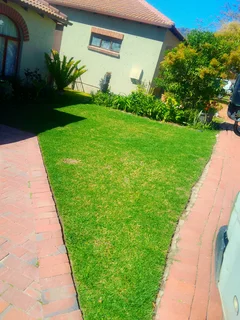 Roll on lawn Kikuyu grass and