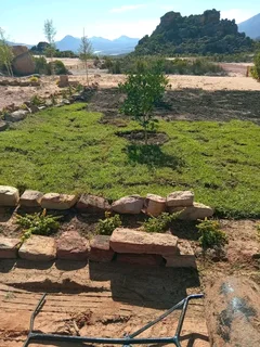 Supply and installa buffalo grass and. Cynadone grass weed free