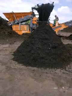 Supply and installa buffalo grass and. Cynadone grass weed free