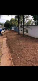 Roll on lawn kikuyu grass