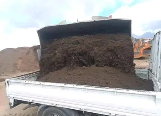 Roll on lawn kikuyu grass