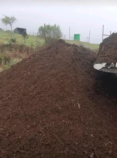 Roll on lawn kikuyu grass