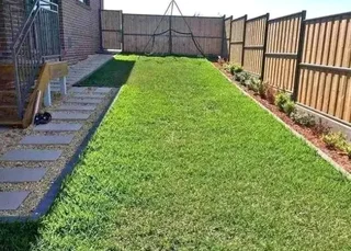 Roll on lawn kikuyu grass