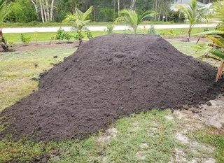 Roll on lawn kikuyu grass