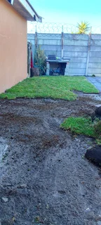 Roll on lawn kikuyu grass