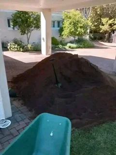 We do supply and install  kikuyu grass and  Buffalo grass