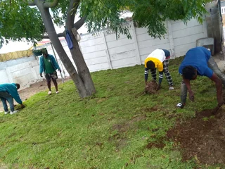 We do supply and install  kikuyu grass and  Buffalo grass