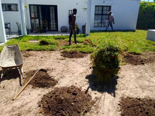 We do supply and install  kikuyu grass and  Buffalo grass