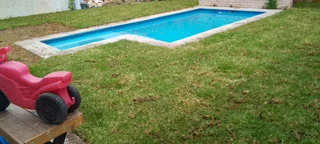 Roll on lawn  cyndon grass