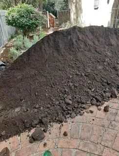 Roll on lawn  cyndon grass