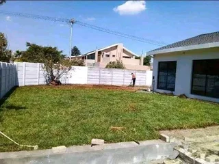 Roll on lawn  kikuyu grass