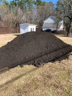 Roll on lawn  kikuyu grass