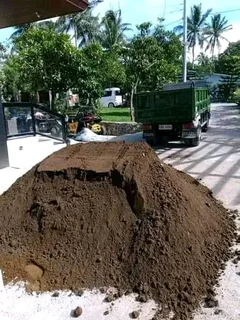 Roll on lawn  kikuyu grass