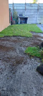Supply and install  kikuyu grass and  cyndon grass