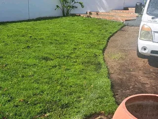 Supply and install  kikuyu grass and  cyndon grass