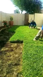Supply and install  kikuyu grass and  cyndon grass