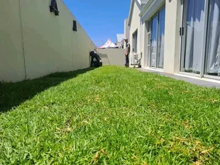 Supply and install  kikuyu grass and  cyndon grass