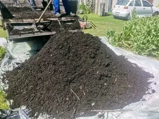 Supply and install  kikuyu grass and  cyndon grass