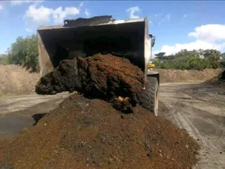 Supply and install  kikuyu grass and  cyndon grass