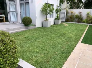 Roll on lawn cyndon grass