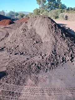 Roll on lawn cyndon grass