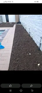 Roll on lawn  Buffalo grass