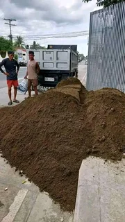 Roll on lawn  Buffalo grass