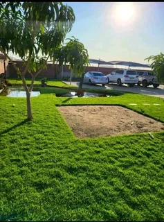 Roll on lawn  Buffalo grass