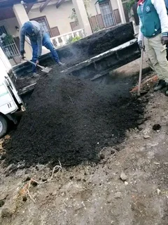 Roll on lawn  kikuyu grass