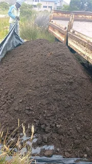 Roll on lawn  kikuyu grass