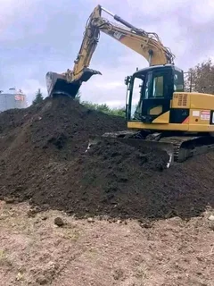 Roll on lawn  kikuyu grass