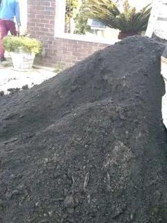 Roll on lawn  kikuyu grass