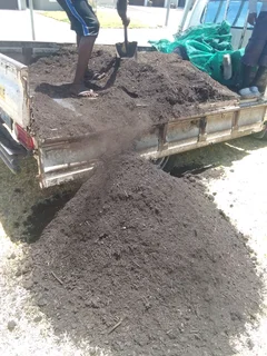 Supply and install  Buffalo GRASS