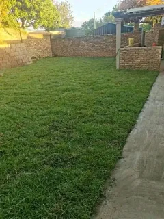 Supply and install  Buffalo GRASS