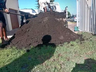 Supply and install  Buffalo GRASS