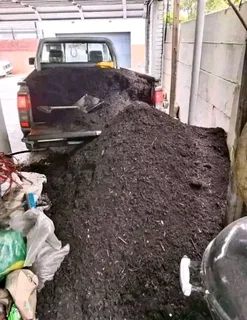 Supply and install  Buffalo GRASS