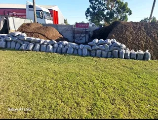 Roll on lawn  kikuyu grass