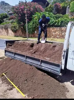 Roll on lawn  kikuyu grass